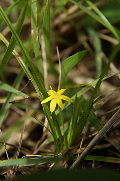 f0214649_356179.jpg