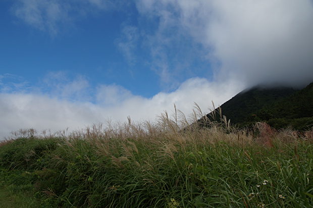 f0214649_3585768.jpg