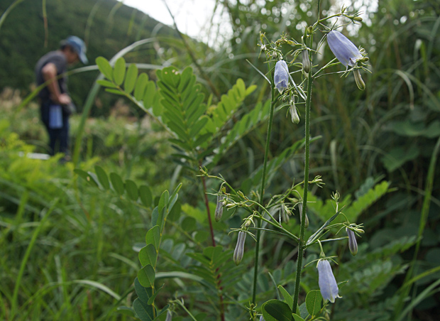 f0214649_4581.jpg