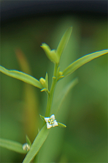 f0214649_47453.jpg