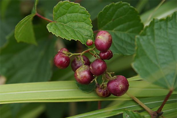 f0214649_482424.jpg