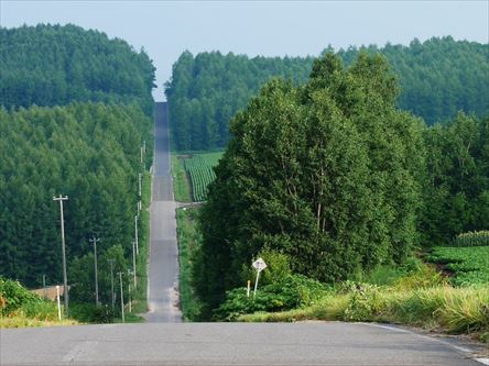 e0044657_23422023.jpg