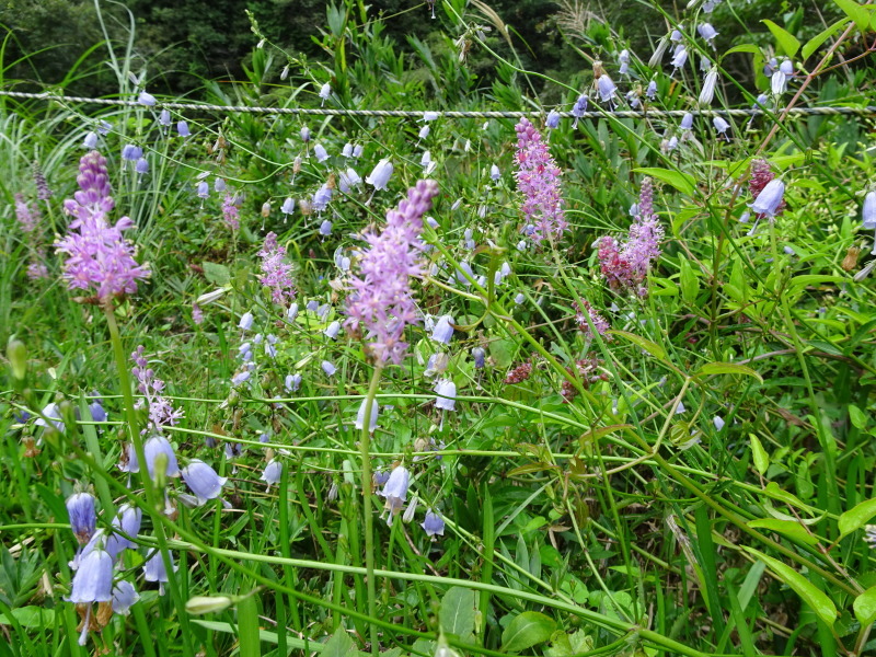 c0108460_18035414.jpg