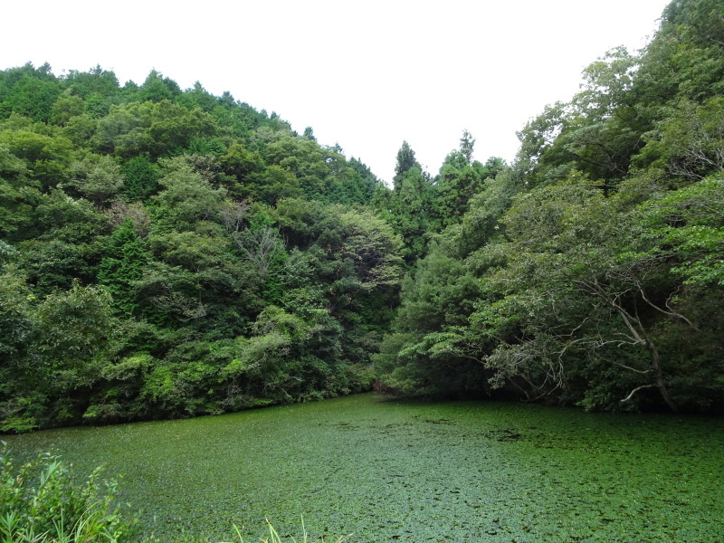 c0108460_18135553.jpg