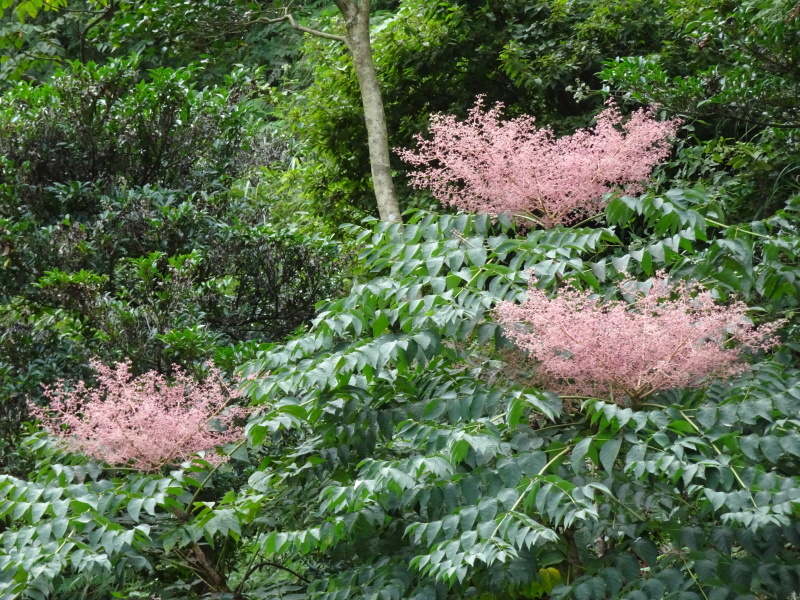 c0108460_18174801.jpg