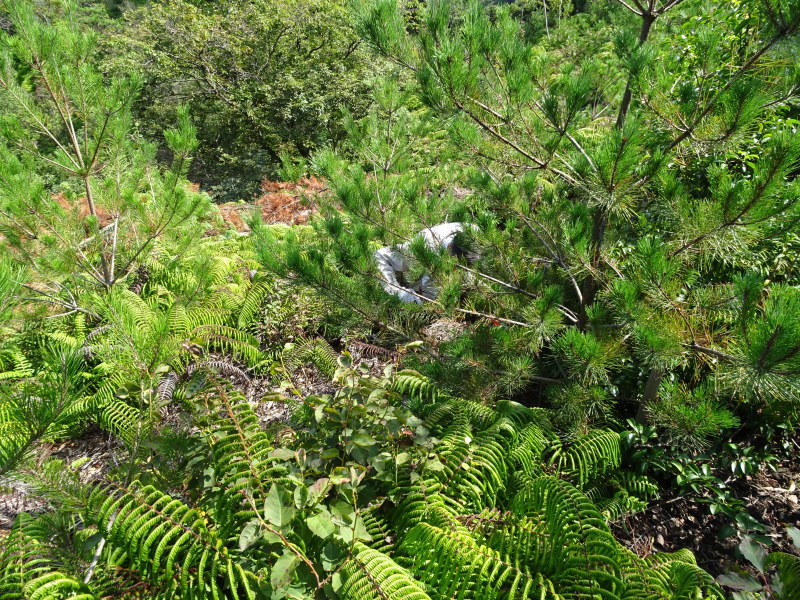 c0108460_19153446.jpg