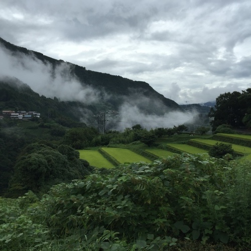 本日の営業時間_f0121167_10211065.jpeg