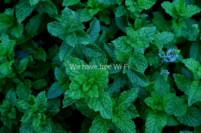 Wi-Fi 使えます!_b0341869_17482153.jpg