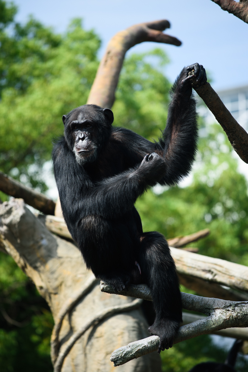 動物園　ETC._a0301676_08095277.jpg