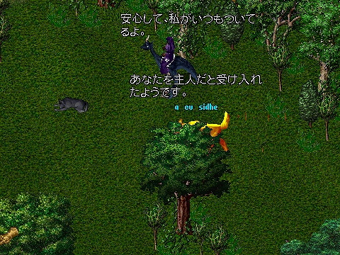 ファイヤークーシーがやってきた ジェットのdoom夢日記 ファイヤークーシーがやってきた ジェットのdoom夢日記