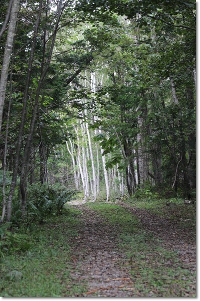 f0146493_20251342.jpg