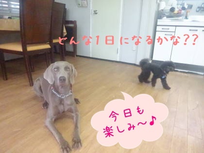a0338800_00115963.jpg