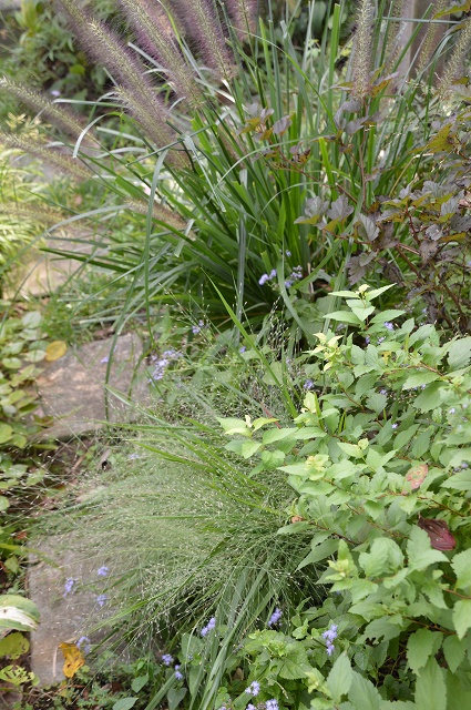 c0124100_1834565.jpg