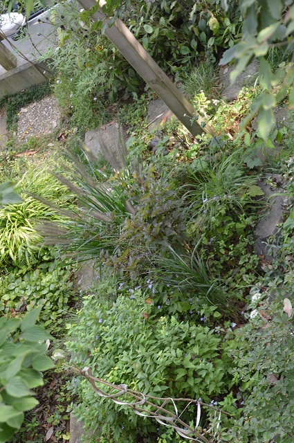c0124100_183519100.jpg