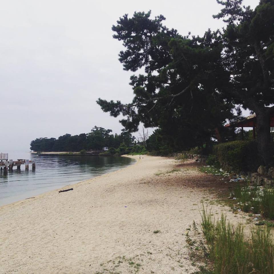 b0220002_21434614.jpeg