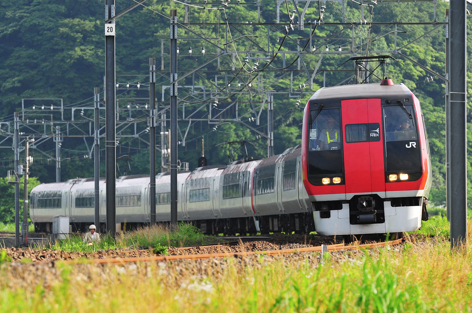 JR東日本 253系0番台 / Ne-09_d0226909_18531332.jpg