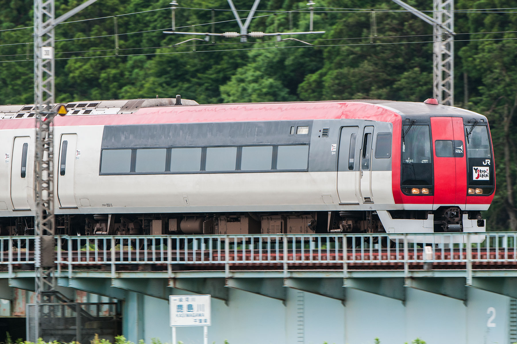 JR東日本 253系0番台 / Ne-03_d0226909_19332083.jpg