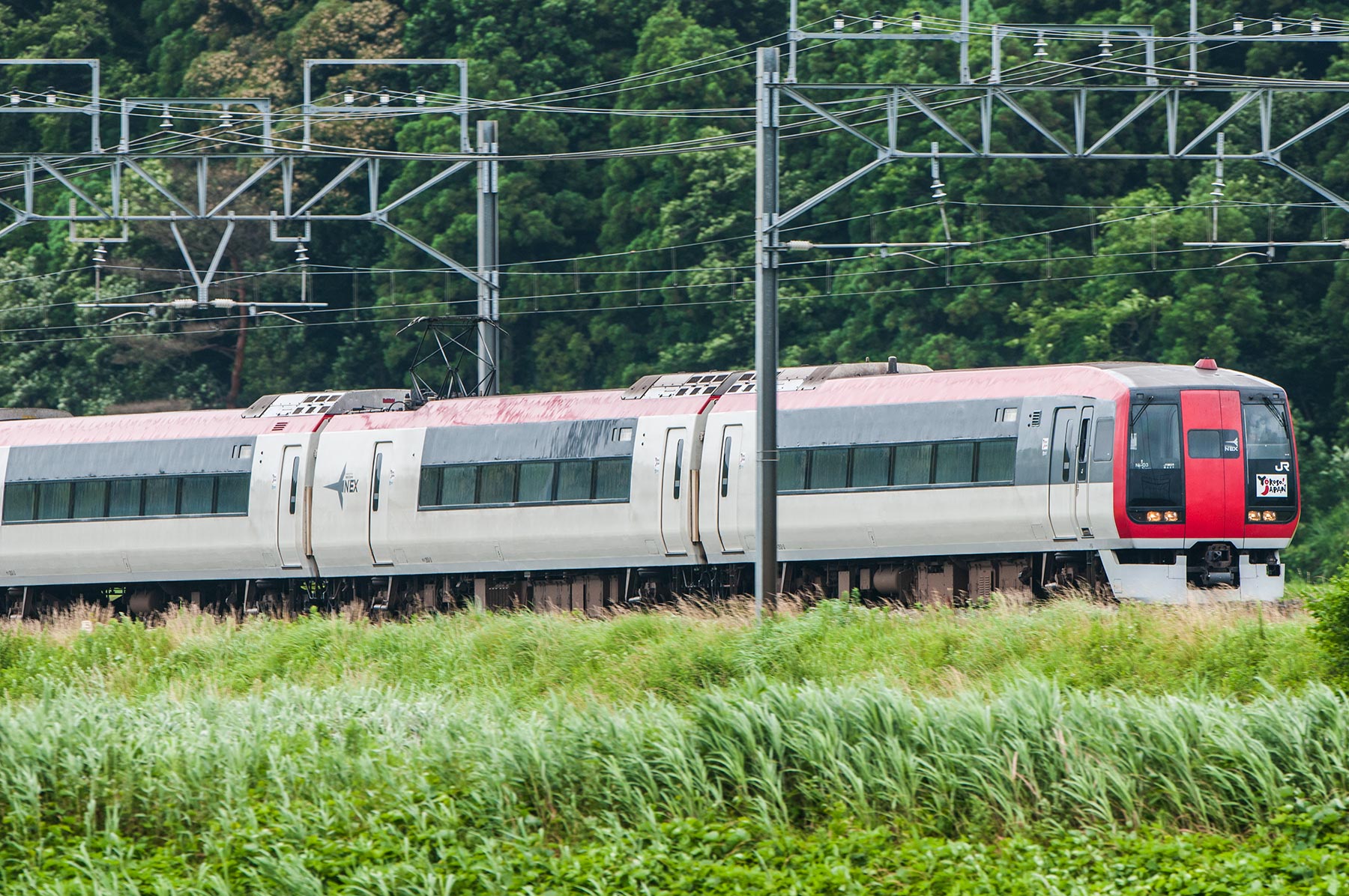 JR東日本 253系0番台 / Ne-03_d0226909_193321.jpg