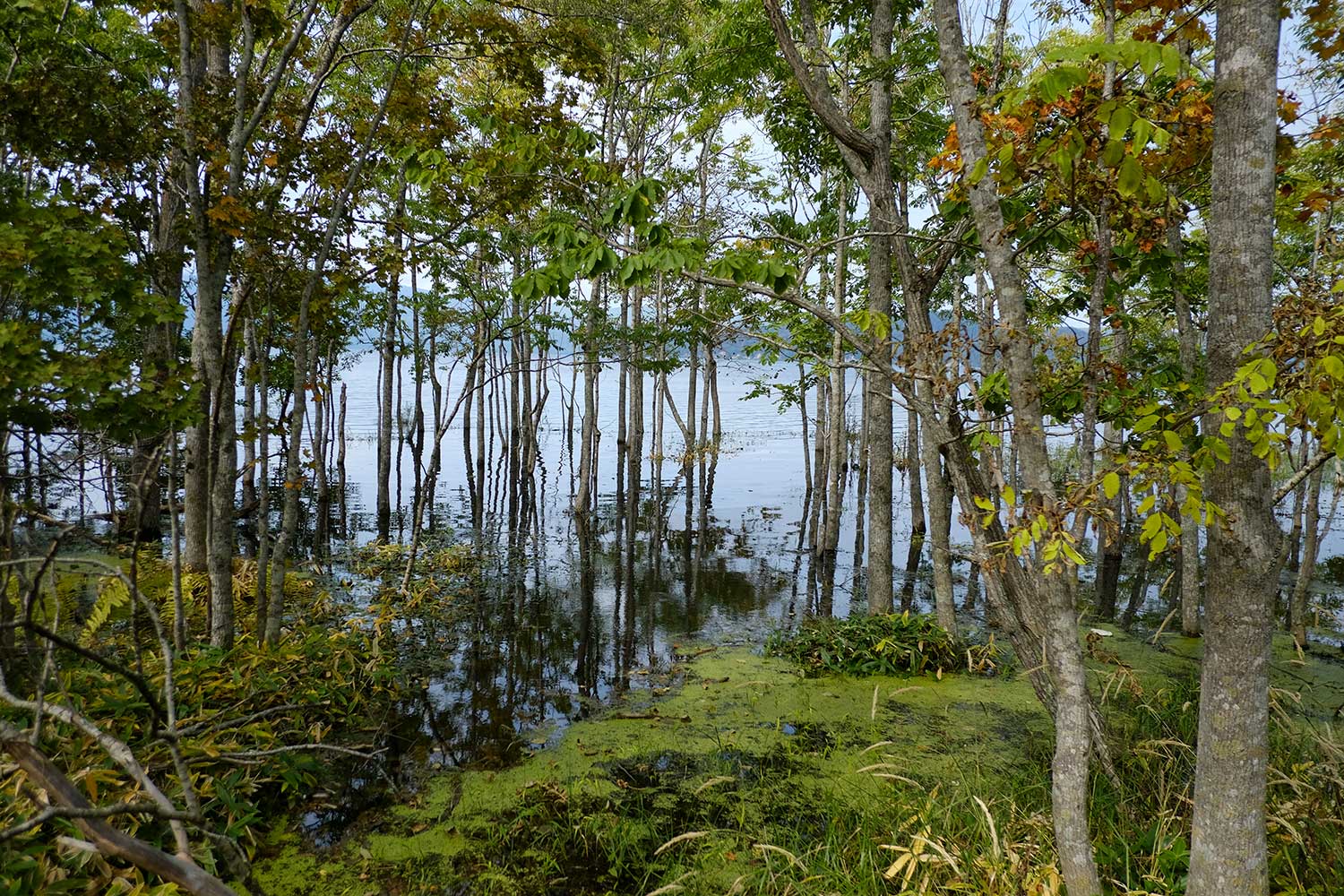 b0189415_1854472.jpg