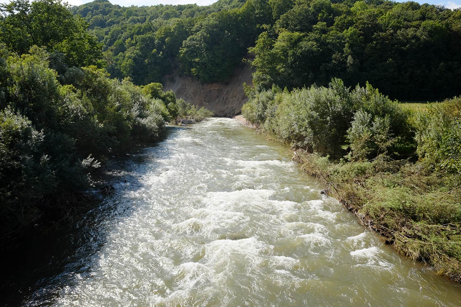 b0189415_18551525.jpg