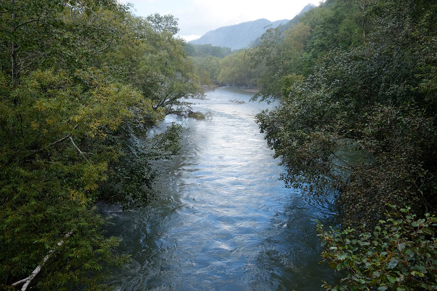 b0189415_1856057.jpg