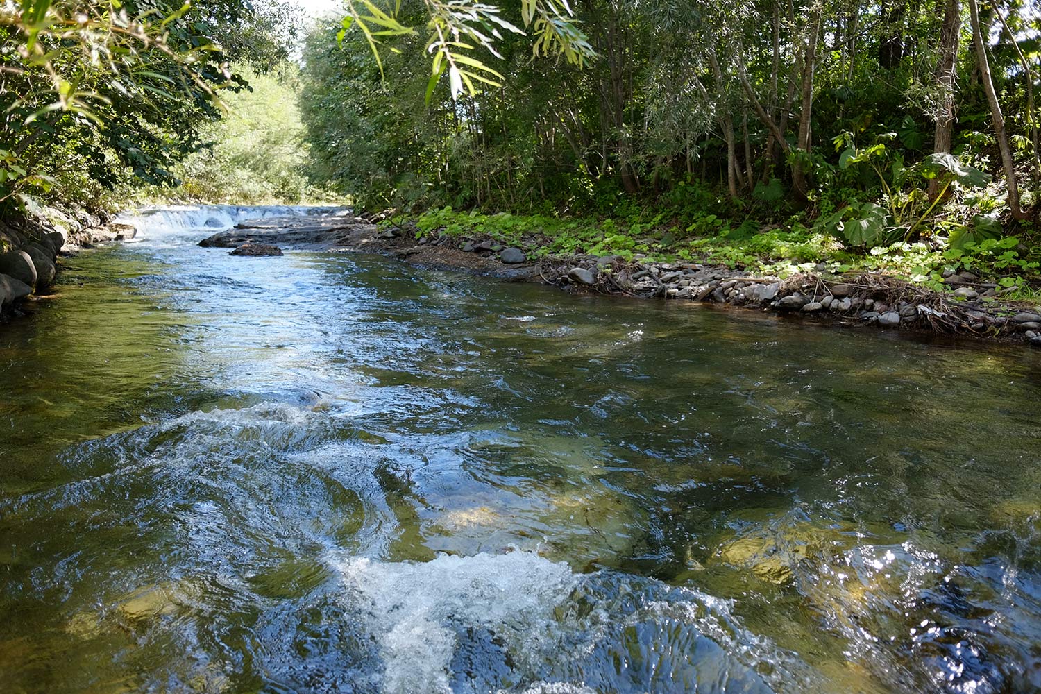 b0189415_18571141.jpg