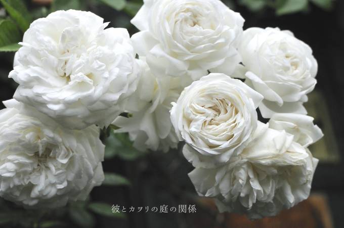 c0365716_21063654.jpg