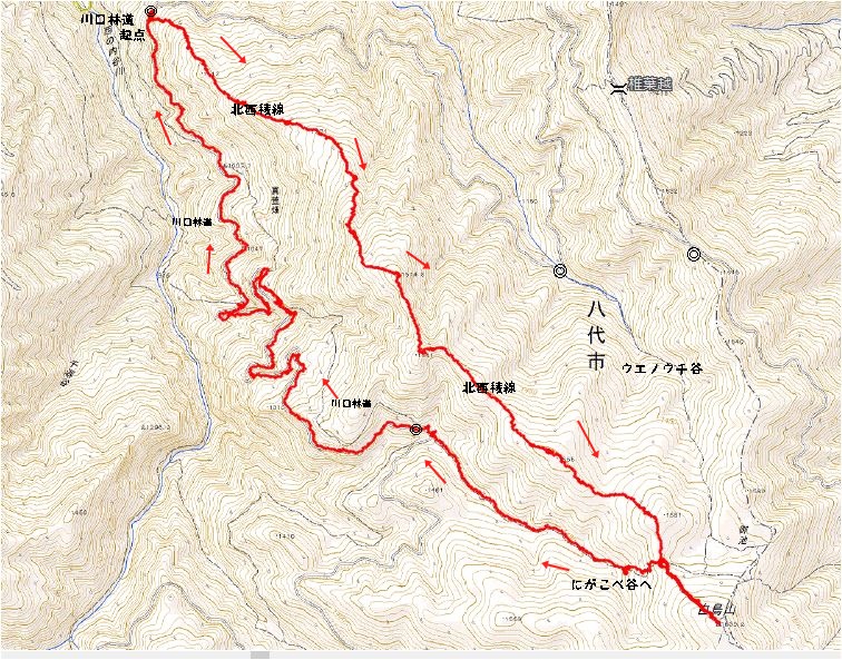 f0193521_8162571.jpg