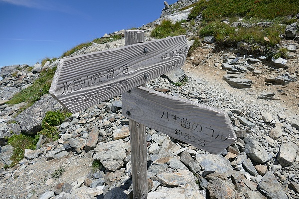 南アルプス・北岳登山記 2016　その28_c0196928_17482334.jpg