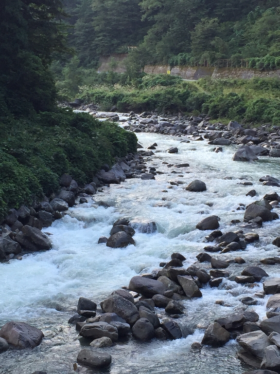 白山登山(御前峰~砂防ルート)_c0113733_23121456.jpg