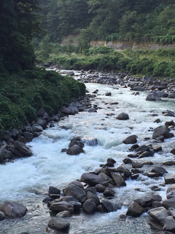 白山登山（御前峰～砂防ルート）_c0113733_23121456.jpg