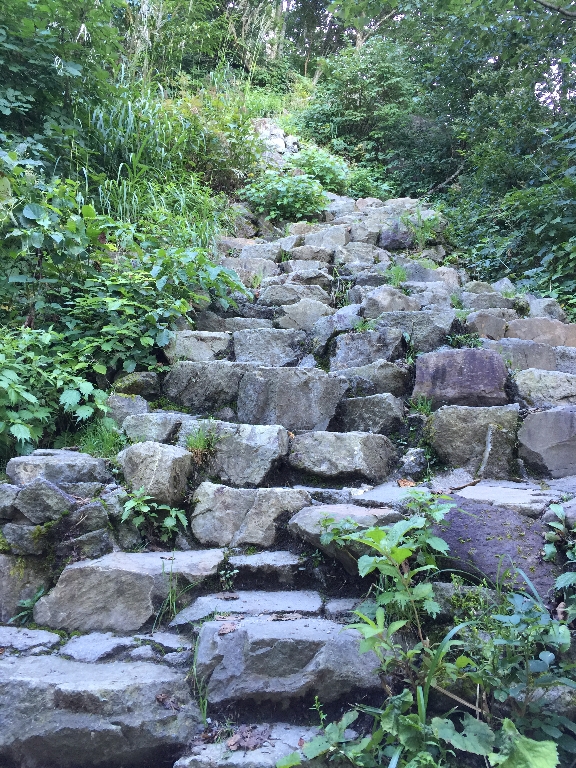 白山登山(御前峰~砂防ルート)_c0113733_23204288.jpg