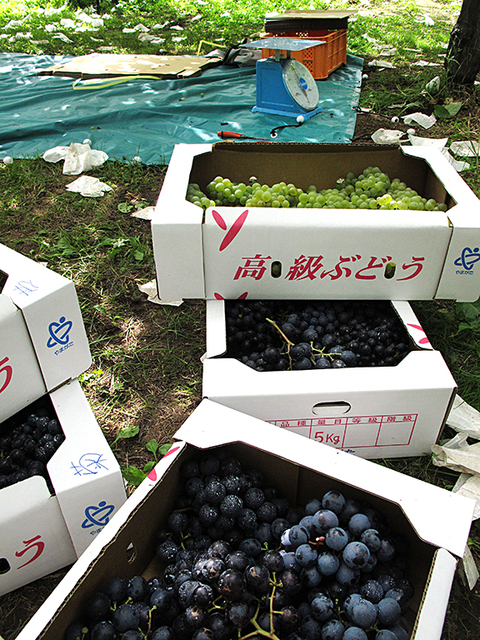 f0031535_13305757.jpg