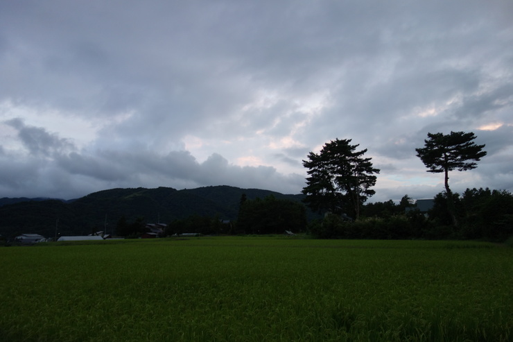 a0287336_214012.jpg