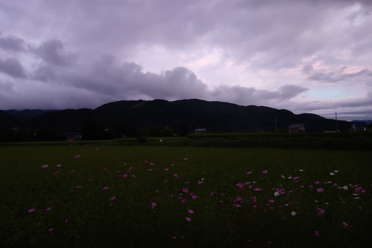 a0287336_2155325.jpg