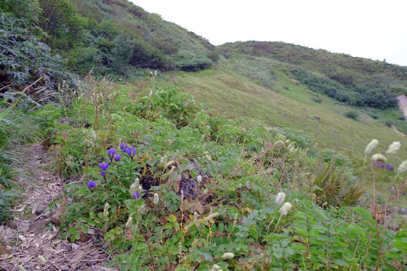 d0347140_20113040.jpg