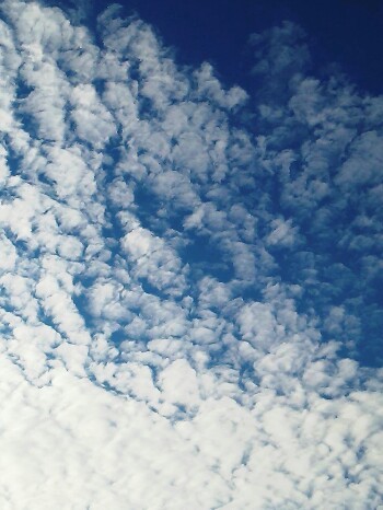 c0292342_09494315.jpg