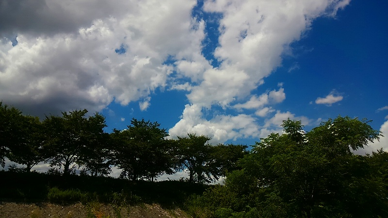 e0237645_23105627.jpg