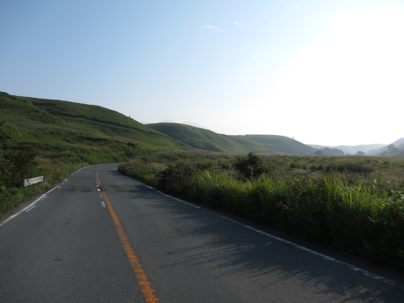 １７８．大観峰、天句松裕花［２８．０９．１０］_a0054350_22102331.jpg