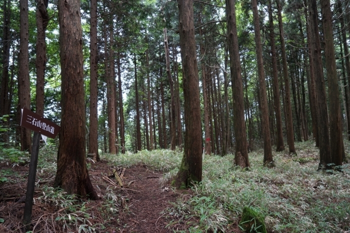 過疎の里山＠三石山　2016.06.11(土)_f0344554_12081397.jpg