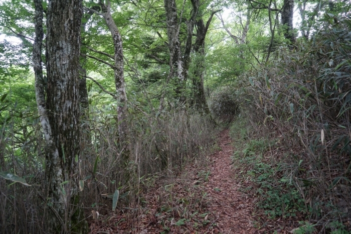 過疎の里山＠三石山　2016.06.11(土)_f0344554_12081774.jpg