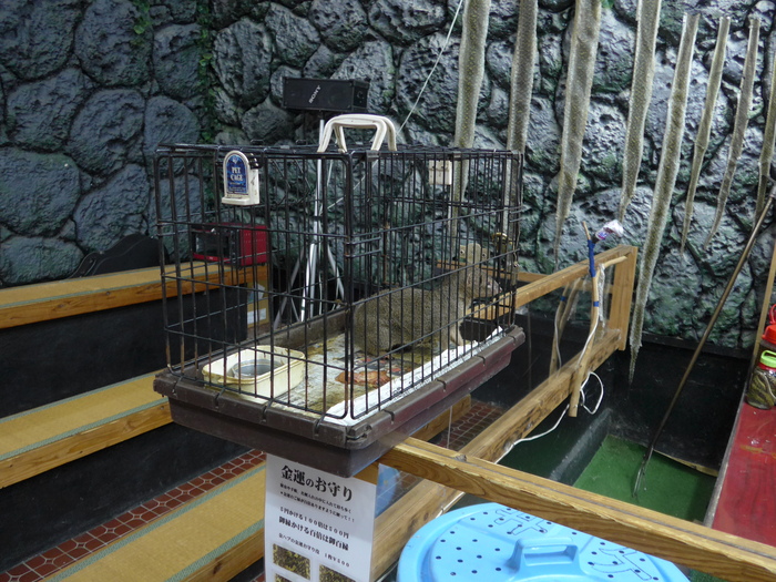 本部町「はぶ館」で、はぶ対マングースを観る。_f0232060_21512238.jpg