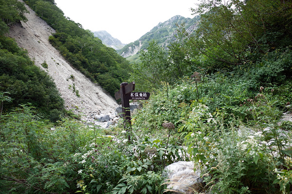 a0207672_1121422.jpg