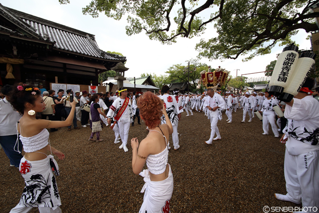 月見祭り2016宮入_e0271181_23114279.jpg