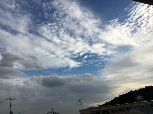 f0347891_21454887.jpeg