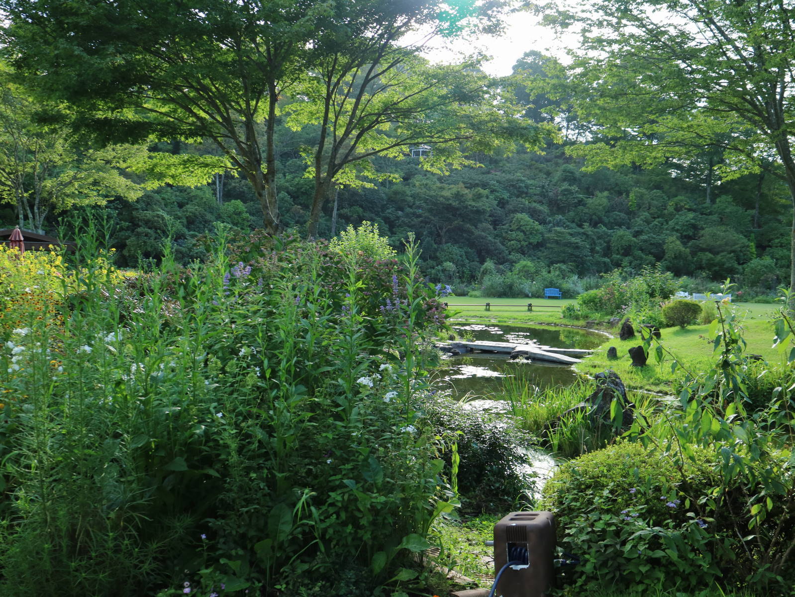 f0075595_19203688.jpg