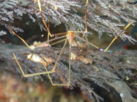 e0115199_16523985.jpg