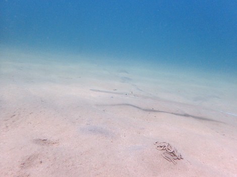 e0115199_17083367.jpg