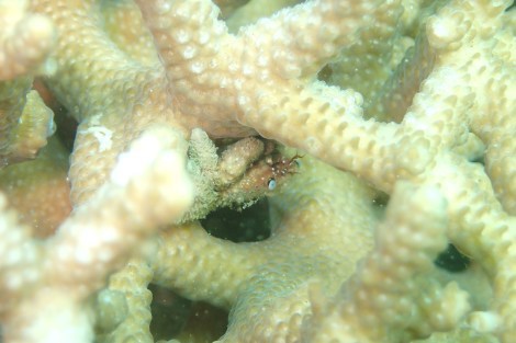 e0115199_17162547.jpg