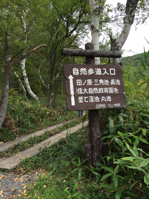d0057701_06043700.jpg